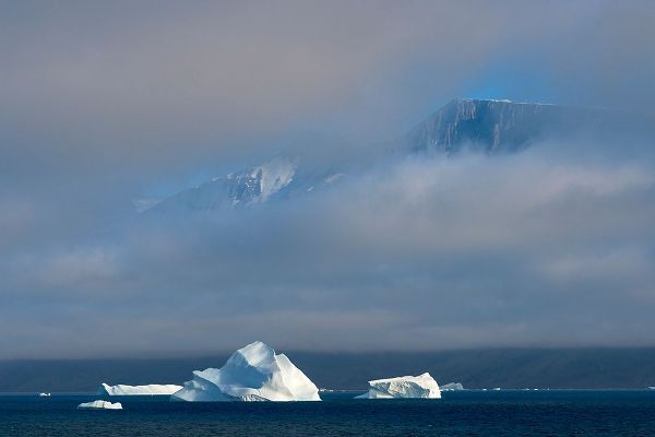 Su, Keren 아티스트의 Floating iceberg in the ocean-Greenland작품입니다.